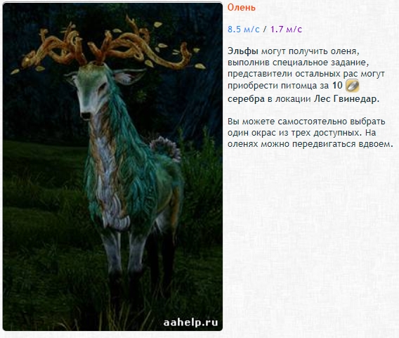 Ездовые питомцы в ArcheAge. Гайд - картинки